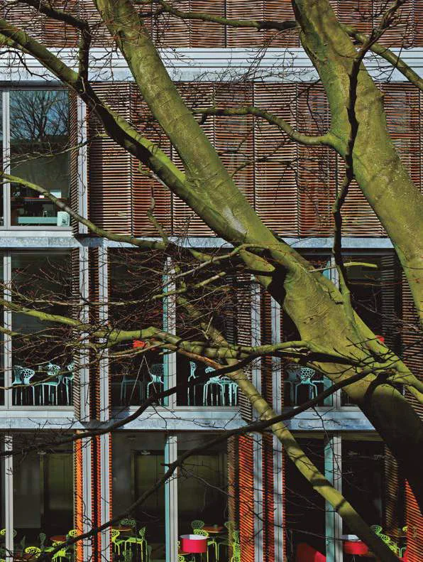 Folding e sliding shutters em fachada com árvore